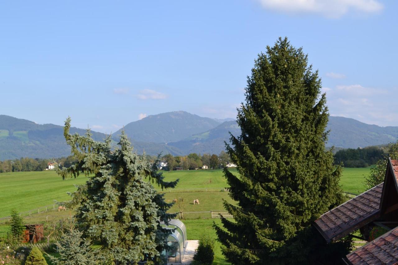 Ferienwohnung Schmiedhansl Moos Salzburg Bagian luar foto